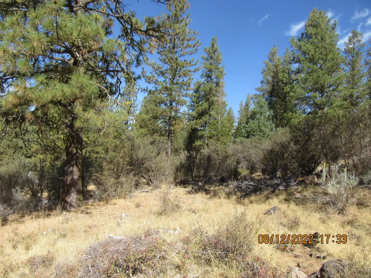 Lot 2 Tiger Lane, Bonanza, OR 97623 - Image #1