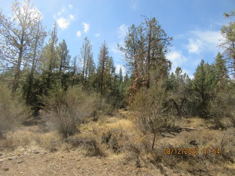 Lot 2 Tiger Lane, Bonanza, OR 97623 - Image #3