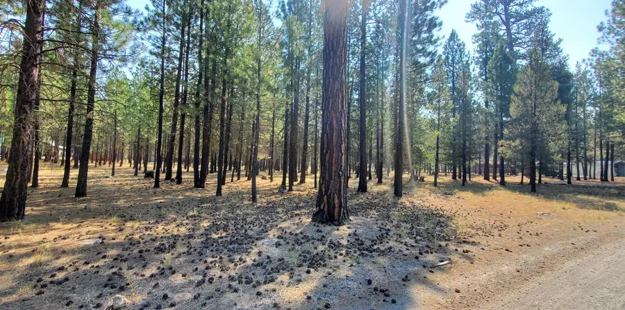 51986 Black Pine, La Pine, OR 97739 - Image #3