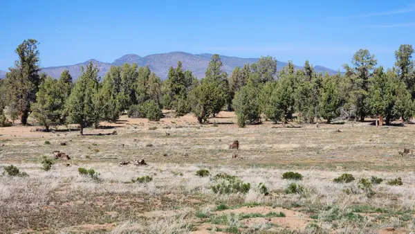 25606 Alfalfa Market, Bend, OR 97701