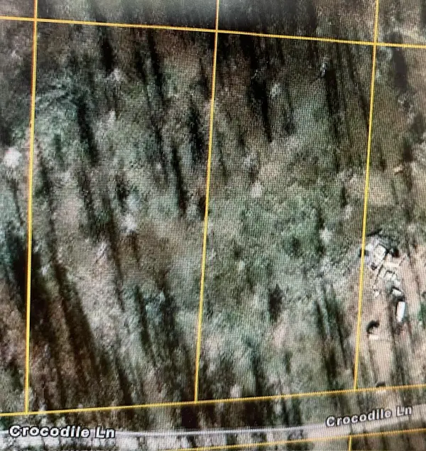 Lot 1200 Crocodile, Bonanza, OR 97623