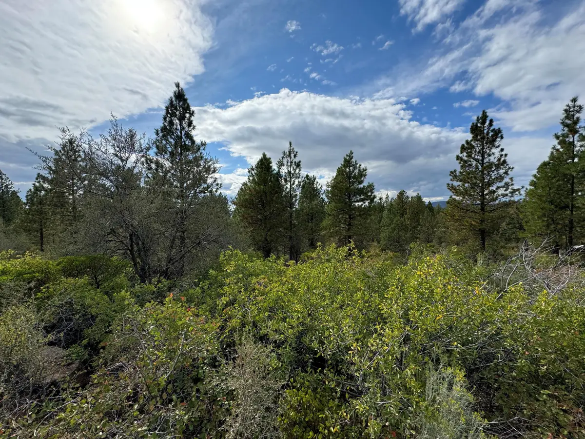 0 Nighthawk, Bonanza, OR 97623 - Image #1