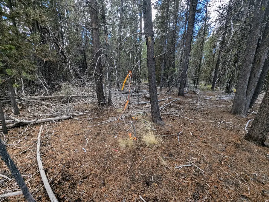 TL 9400 Scott View Dr, Chiloquin, OR 97624 - #3