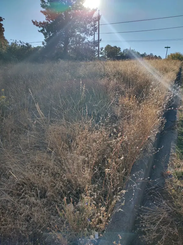 NKA Shelley, Klamath Falls, OR 97601