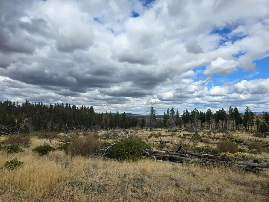 0 Partin Drive #19, Beatty, OR 97621 - Image #2