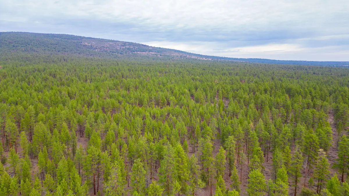 0000 SW Fly Lake, Culver, OR 97734 - Image #1