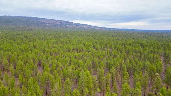 0000 SW Fly Lake, Culver, OR 97734