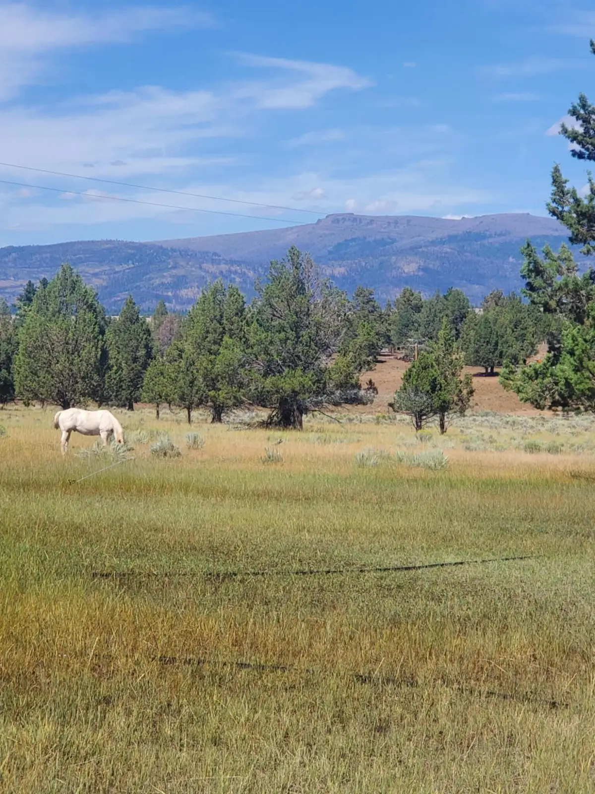 17703 Fishhole Creek, Bly, OR 97622 - Image #1