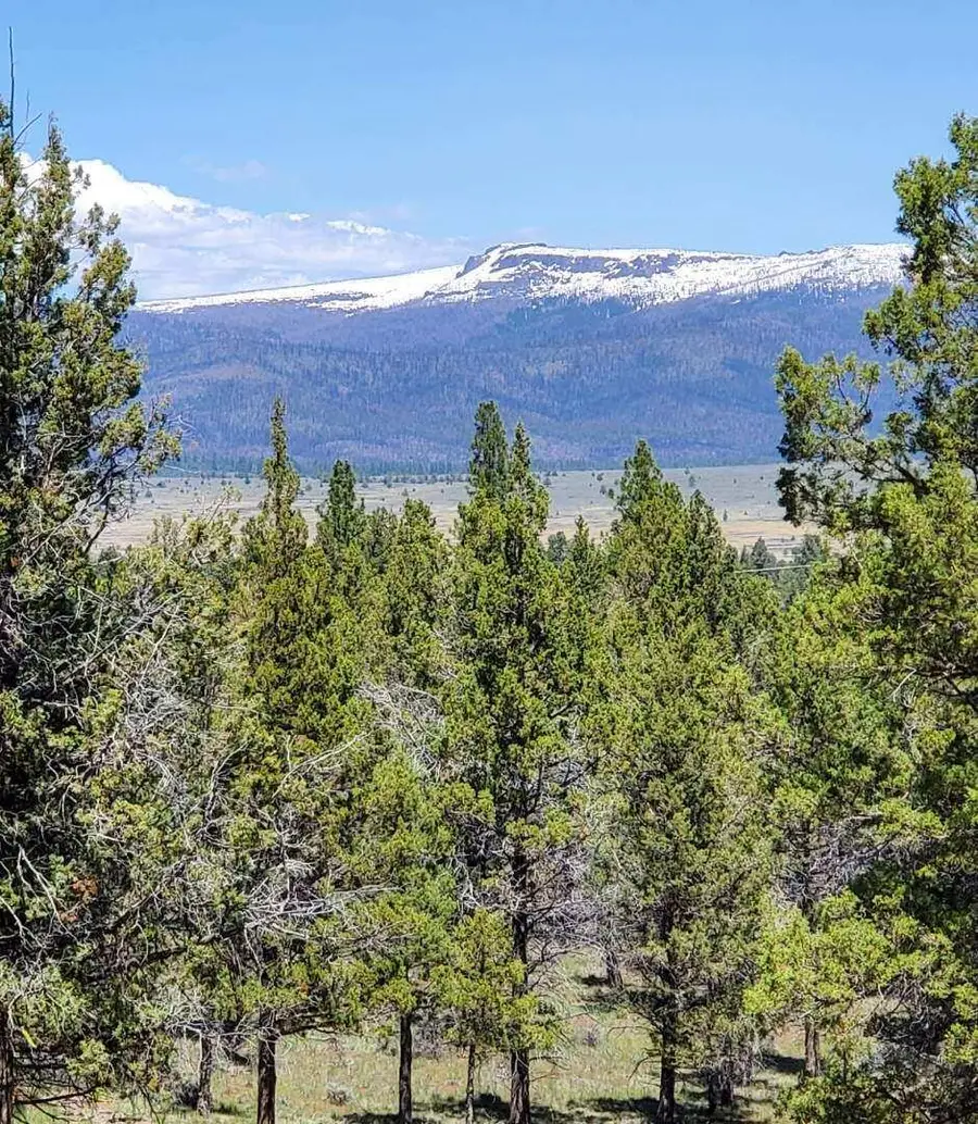 17703 Fishhole Creek, Bly, OR 97622 - Image #3