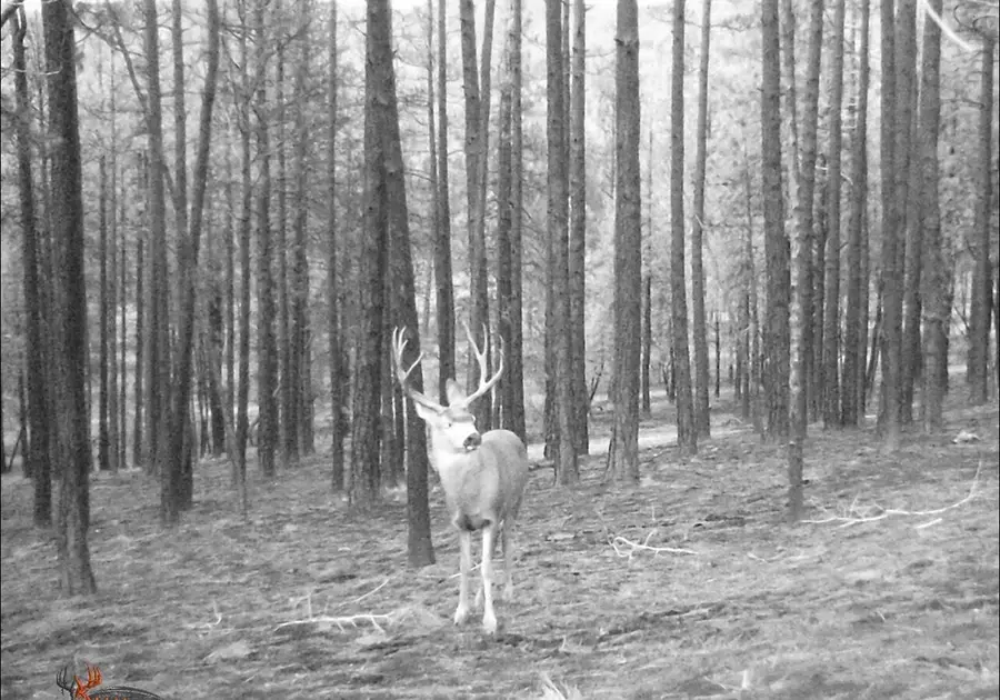 0 Godowa Springs Road #13, Beatty, OR 97621 - Image #2