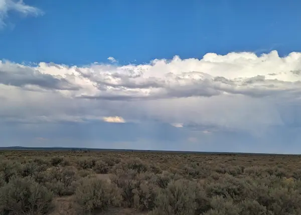 Sagewood, Christmas Valley, OR 97641