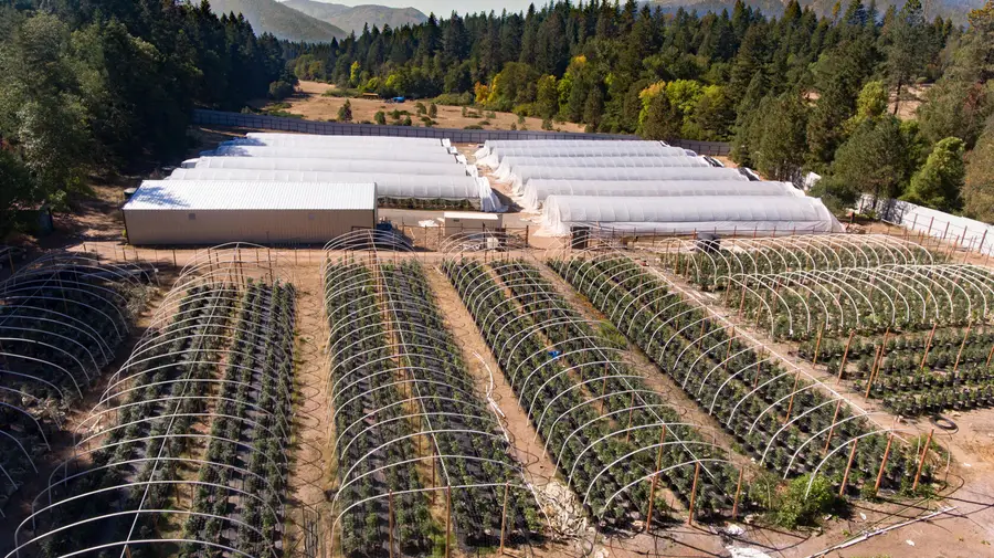 1801 Davis Creek Road, Selma, OR 97538 - Image #2