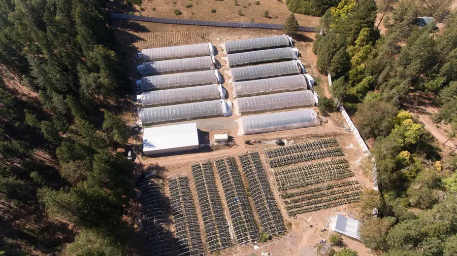 1801 Davis Creek Road, Selma, OR 97538 - Image #3