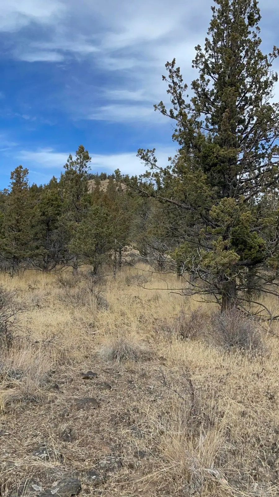 SE Simpson, Prineville, OR 97754 - Image #2