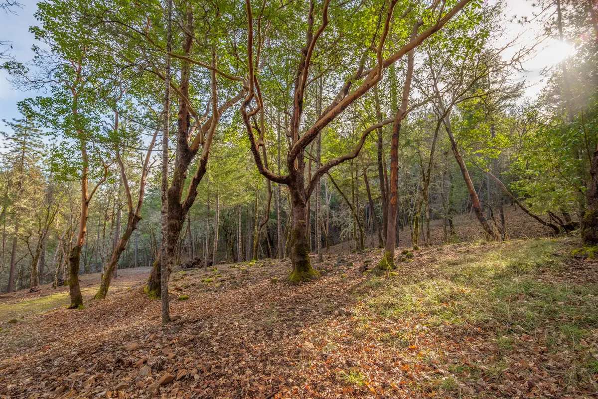 1224 W Jones Creek, Grants Pass, OR 97526 - Image #1