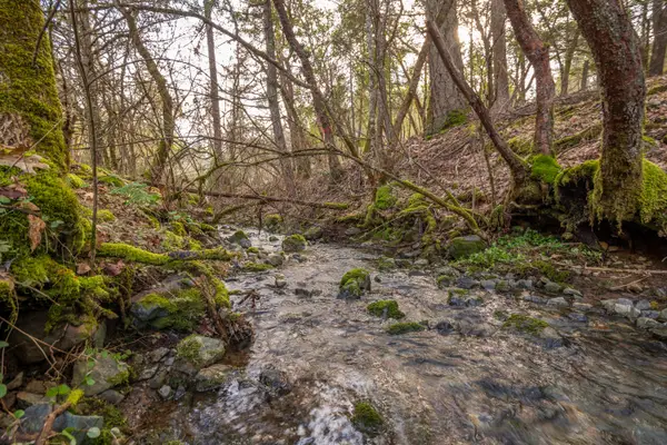 1224 W Jones Creek, Grants Pass, OR 97526