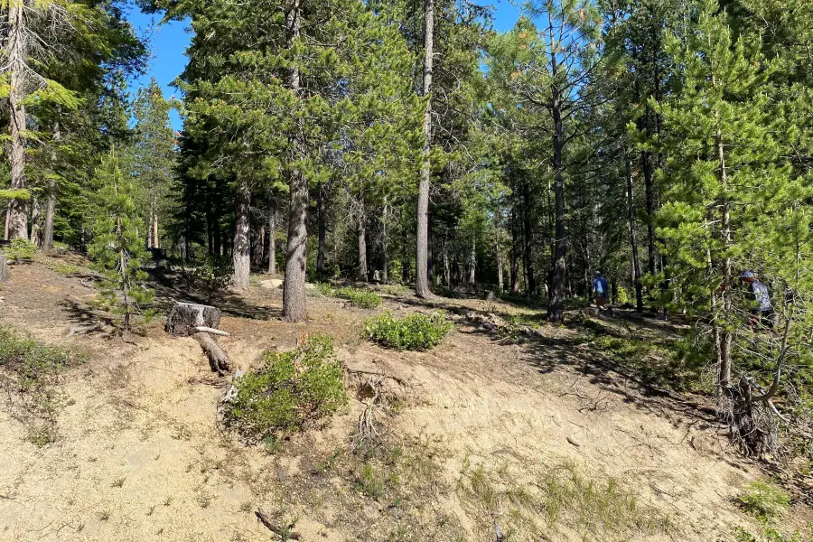 Tl2407 Snowflake, Crescent Lake, OR 97733 - Image #3