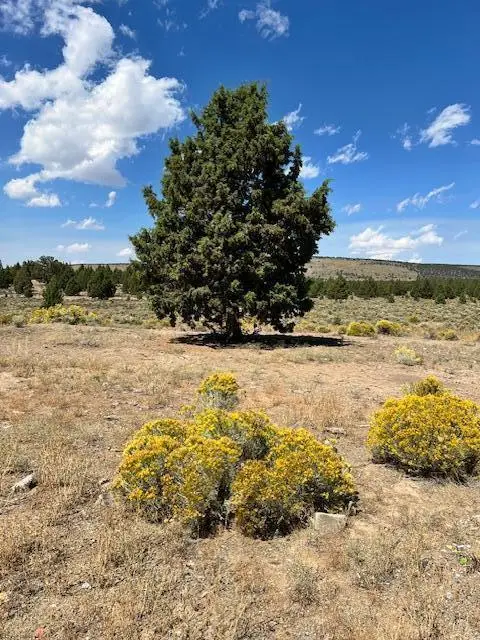 6520 Do, Brothers, OR 97712 - Image #2