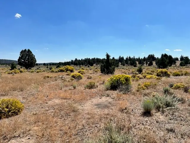 6520 Do, Brothers, OR 97712 - Image #3