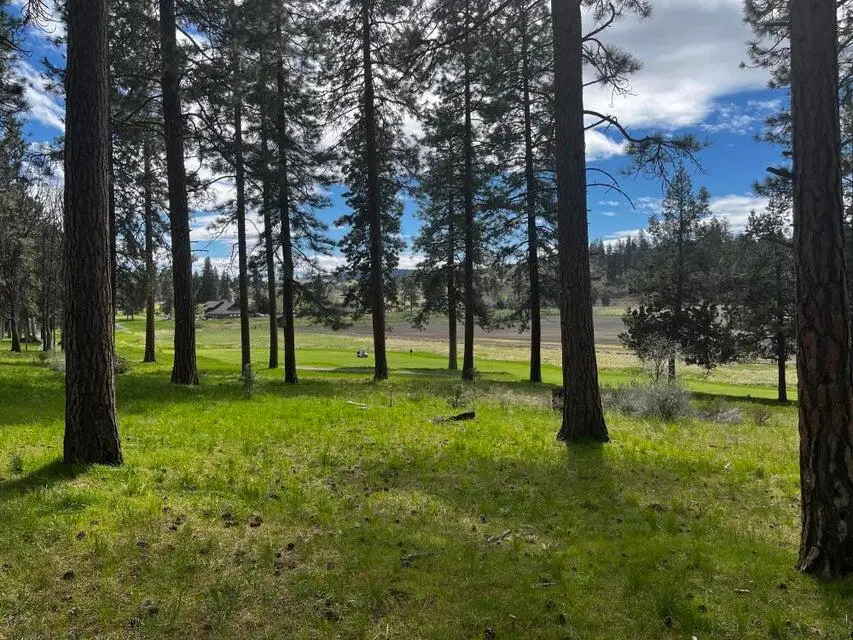 Merganser, Klamath Falls, OR 97601 - Image #2