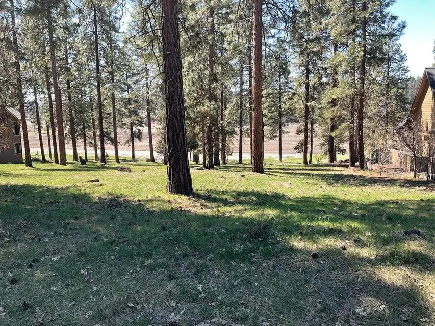 Merganser, Klamath Falls, OR 97601 - Image #3