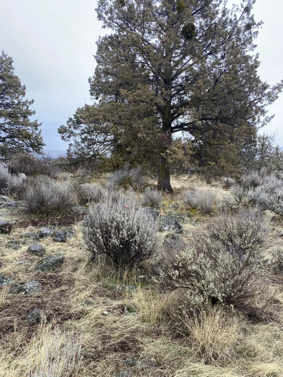 00000 Sunset Ridge, Klamath Falls, OR 97601 - Image #2