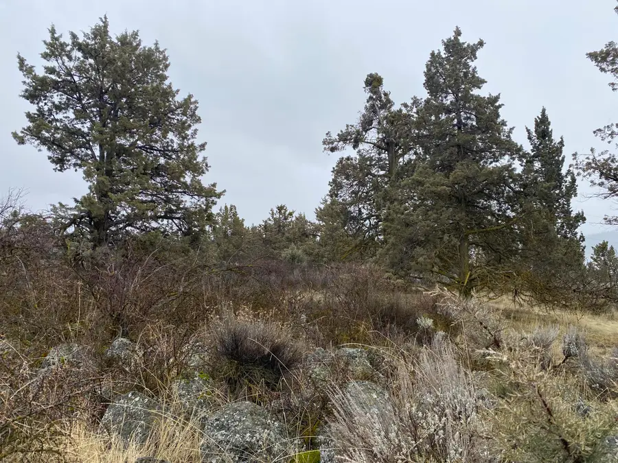 00000 Sunset Ridge, Klamath Falls, OR 97601 - Image #3