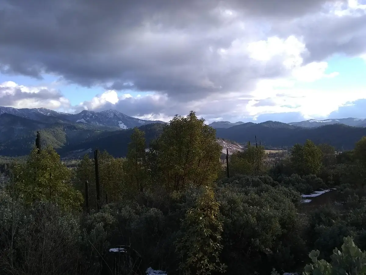 688 Crooks Creek, Selma, OR 97538 - Image #1