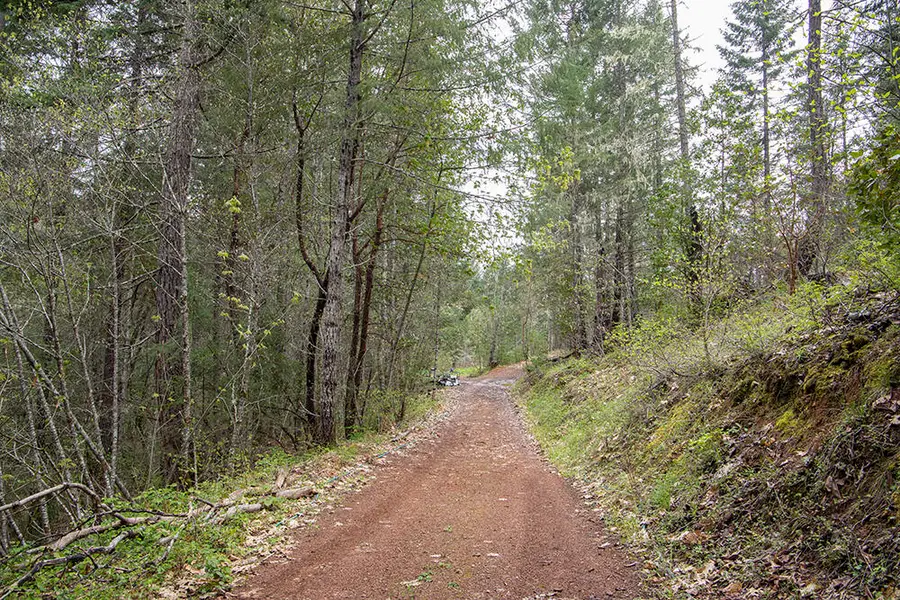 688 Crooks Creek, Selma, OR 97538 - Image #3