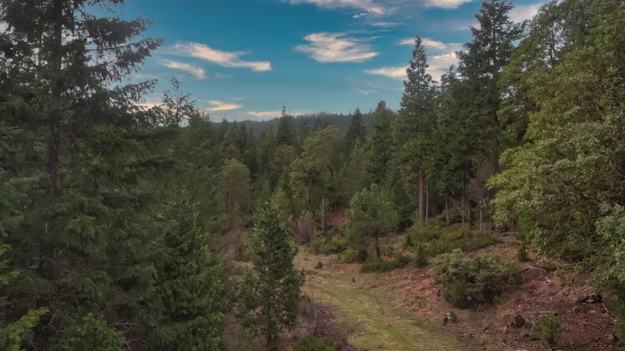 104 Jump Off Joe Creek, Grants Pass, OR 97526 - Image #3