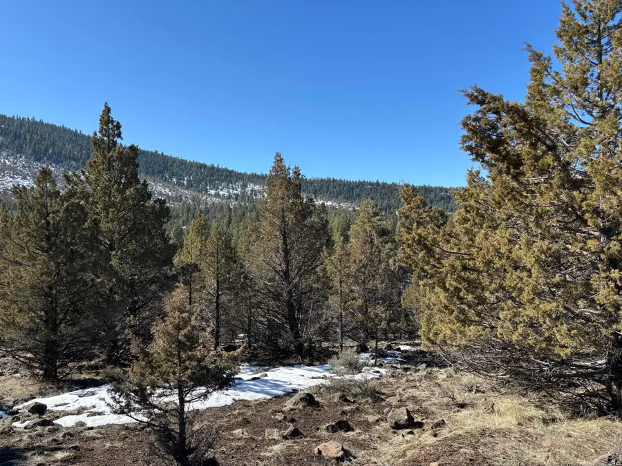 Shamrock Lane, Klamath Falls, OR 97603 - Image #3