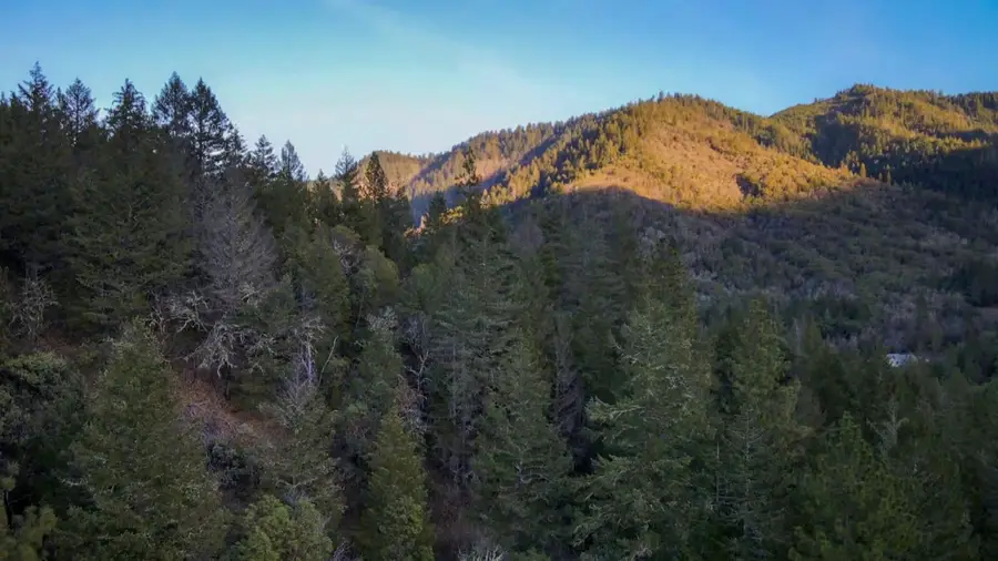 373 Savage Creek, Grants Pass, OR 97527 - Image #2