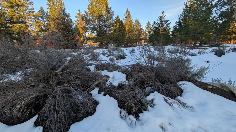 00 Paiute Place #18, Chiloquin, OR 97624 - Image #2