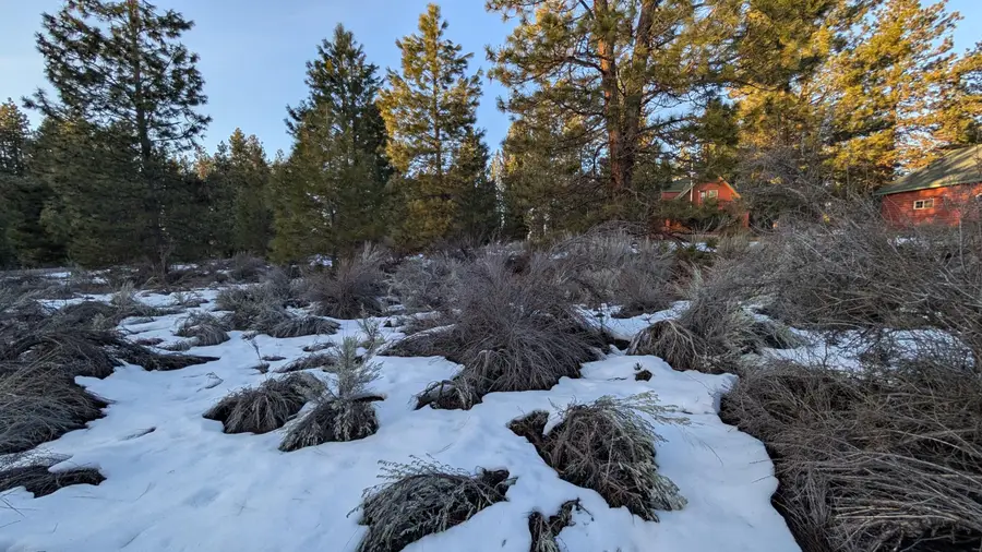 00 Paiute Place #18, Chiloquin, OR 97624 - Image #3