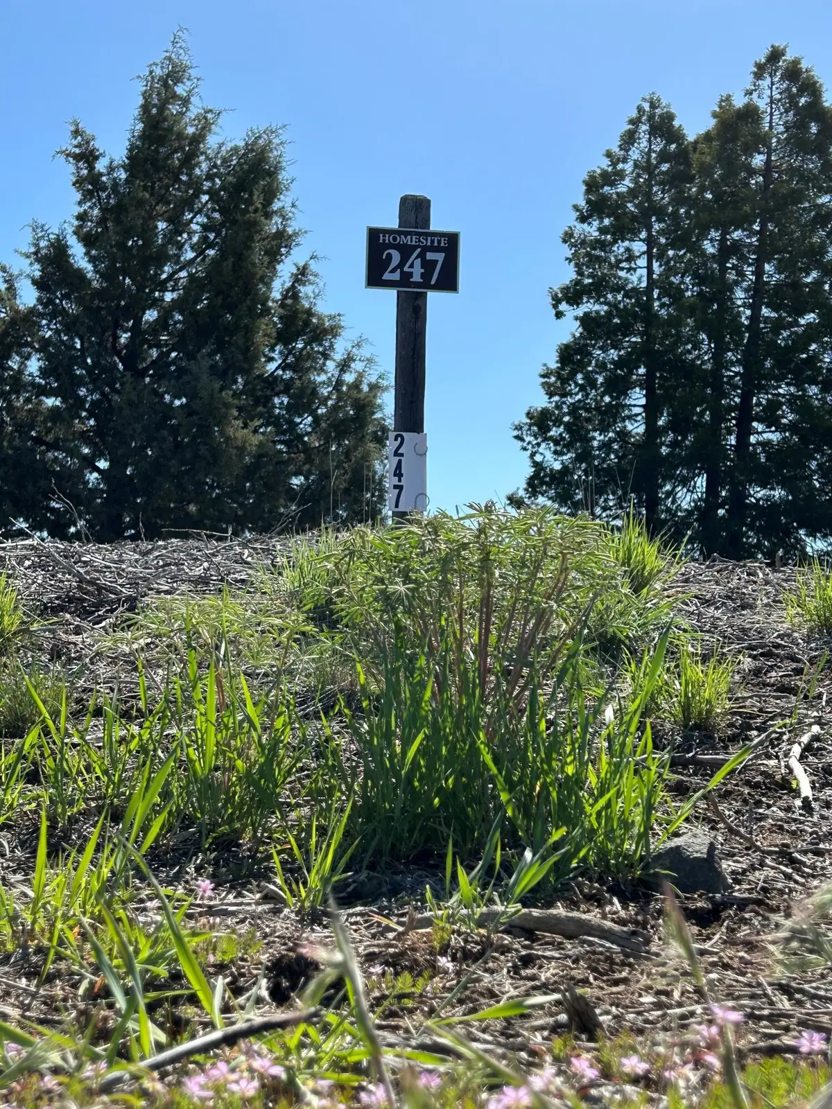 937 Bailey Mountain, Klamath Falls, OR 97601 - Image #1