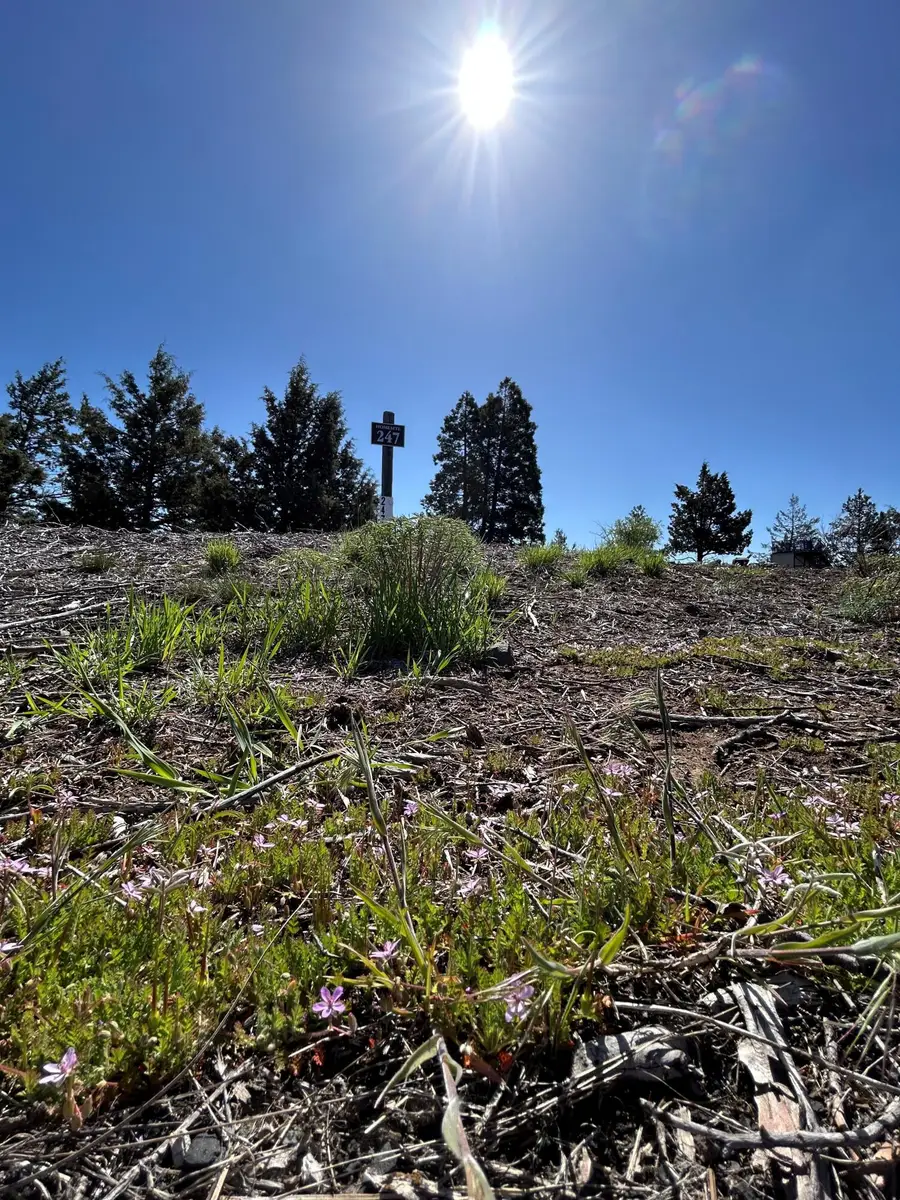 937 Bailey Mountain, Klamath Falls, OR 97601 - Image #2