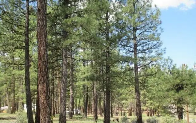 0 Elde Street #24, Chiloquin, OR 97624 - #2