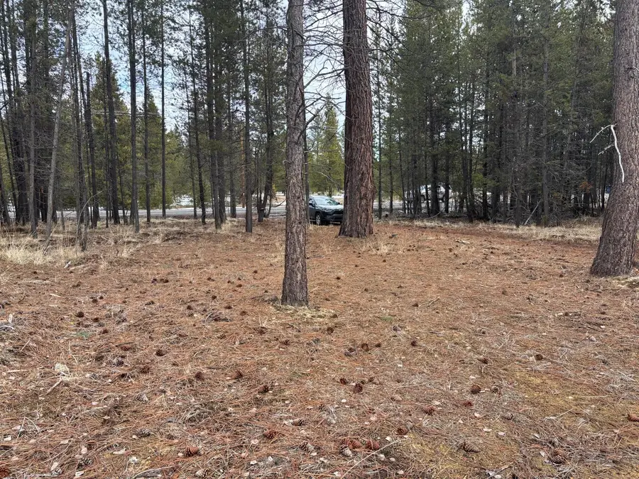 17115 Spring River, Bend, OR 97707 - Image #3