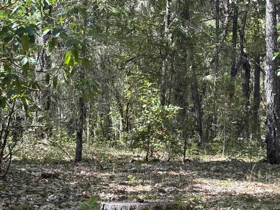 1927 Southside Road, Grants Pass, OR 97527 - Image #3