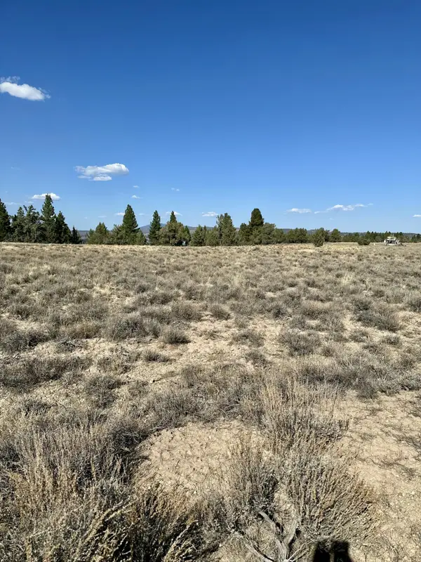 Rim, Chiloquin, OR 97624