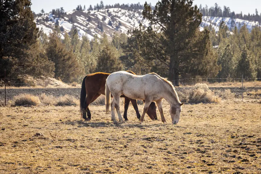 22860 Bliss, Sprague River, OR 97639 - Image #3