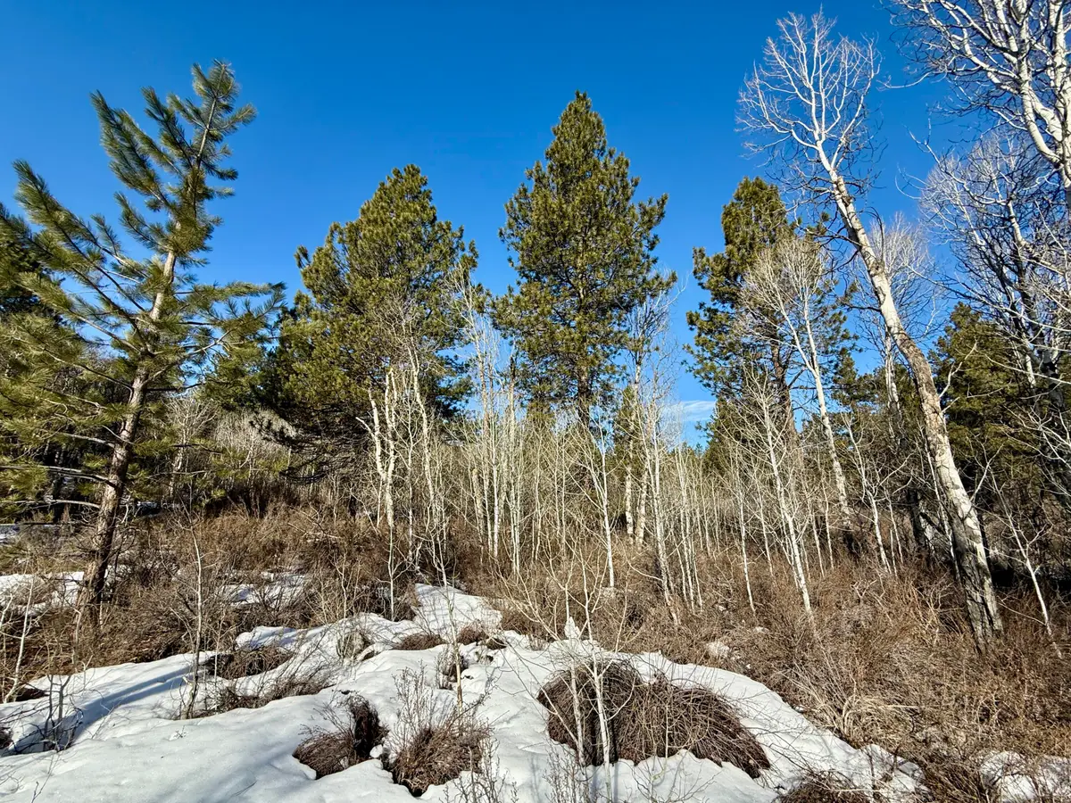 German Brown Lane #500, Chiloquin, OR 97624 - #1