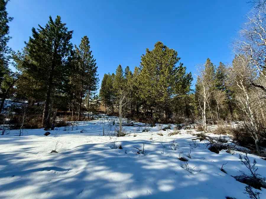 German Brown Lane #500, Chiloquin, OR 97624 - #3