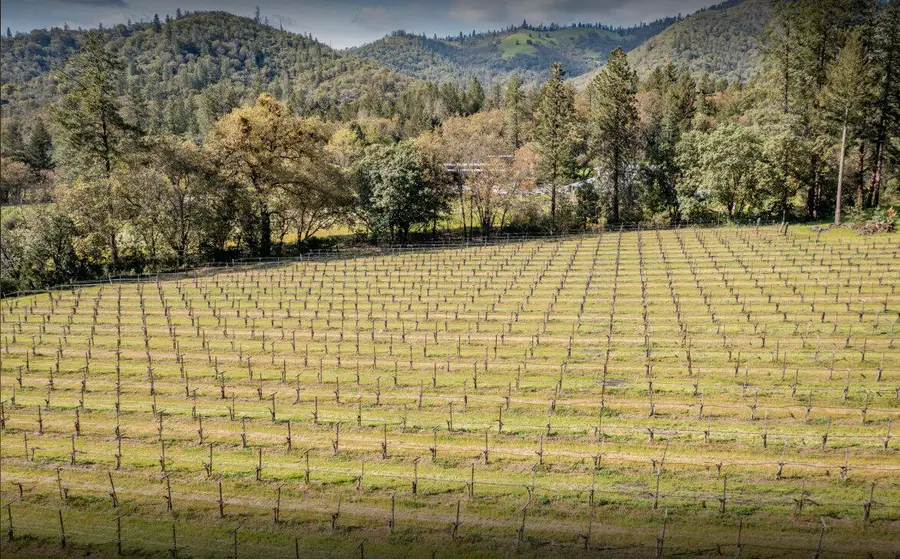 818 Slagle Creek, Grants Pass, OR 97527 - Image #3