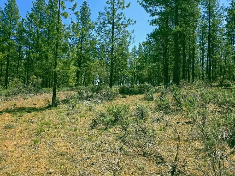 0 Elde, Chiloquin, OR 97624 - Image #2