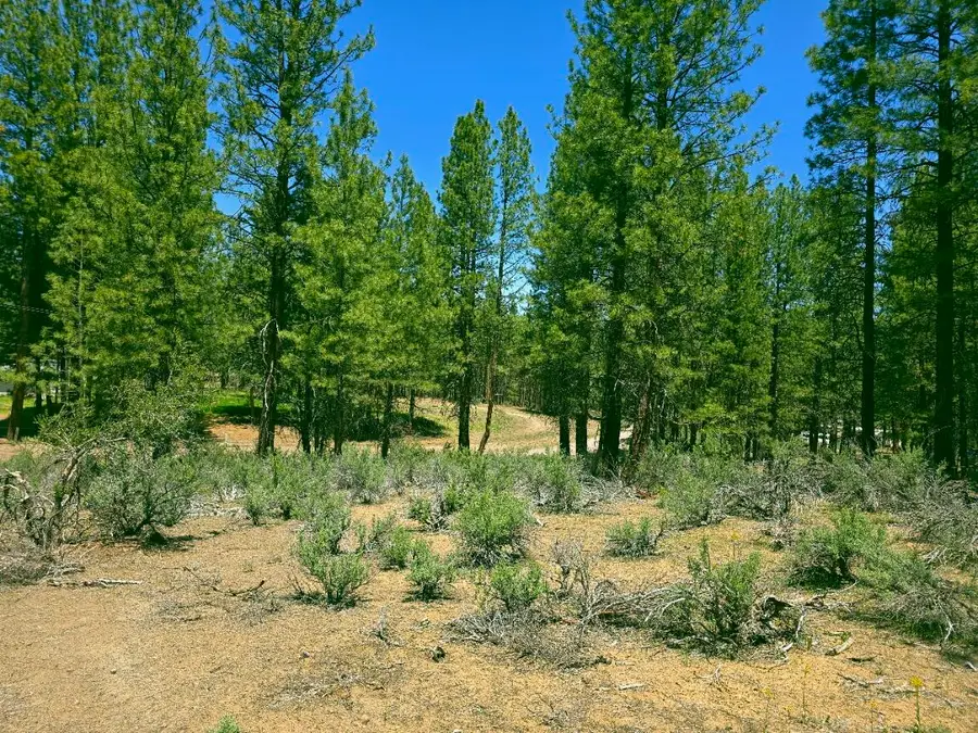 0 Elde, Chiloquin, OR 97624 - Image #3