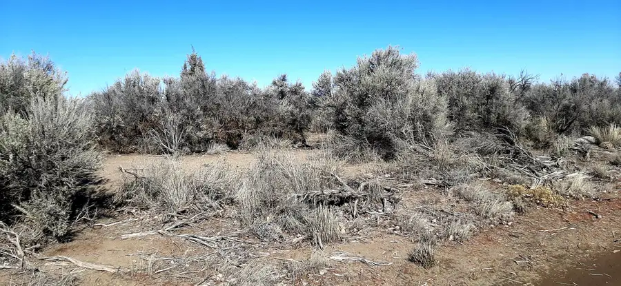 Spruce, Christmas Valley, OR 97641 - Image #2