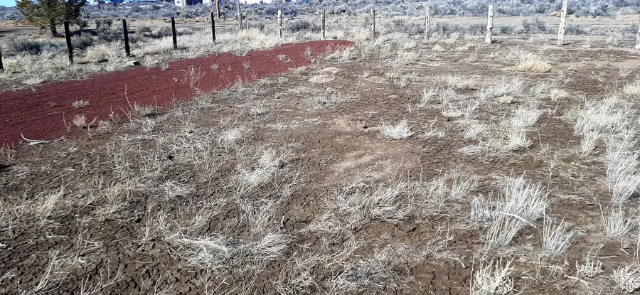 Glitter, Christmas Valley, OR 97641 - Image #3