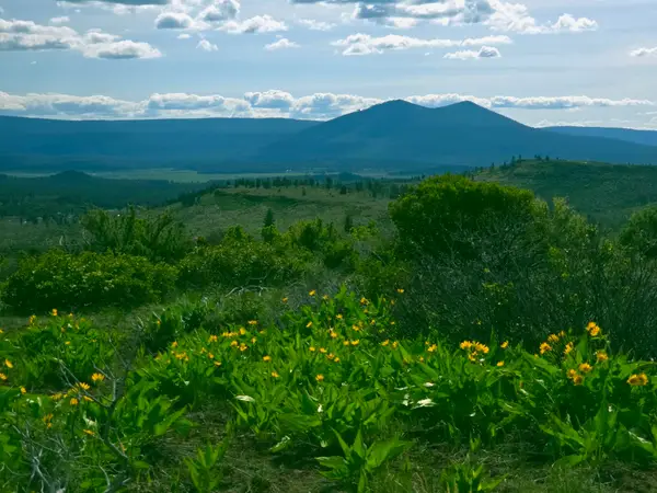 0 Fur Trapper, Chiloquin, OR 97624