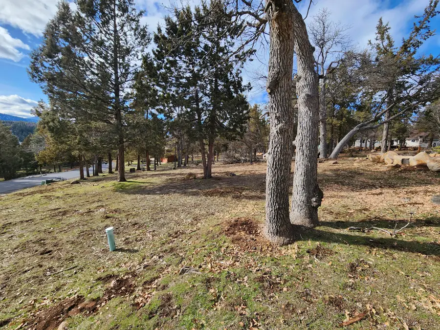 Coopers Hawk, Klamath Falls, OR 97601 - Image #3